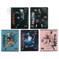 Зошит 24 арк.клітинка Kite NR