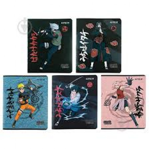 Зошит 24 арк.клітинка Kite NR