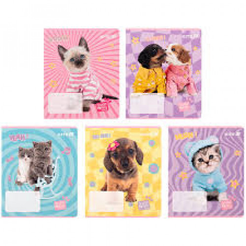 Зошит 12 арк., кл., софт тач + УФ лак, SP