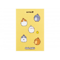 Блокнот, термобіндер А5, 64арк. ML