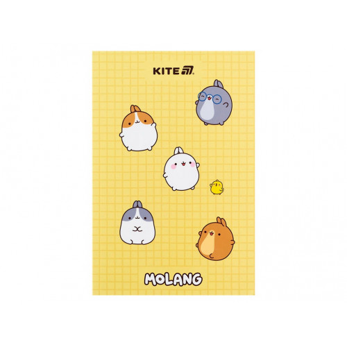 Блокнот, термобіндер А5, 64арк. ML