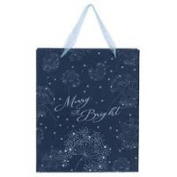 Пакет пластиковий подарунковий 25х19см, Flower Symphony-4