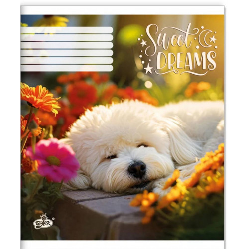 Зошит 24арк. клітинка Бриск ТВ-109 №2664 Лапи в тишi