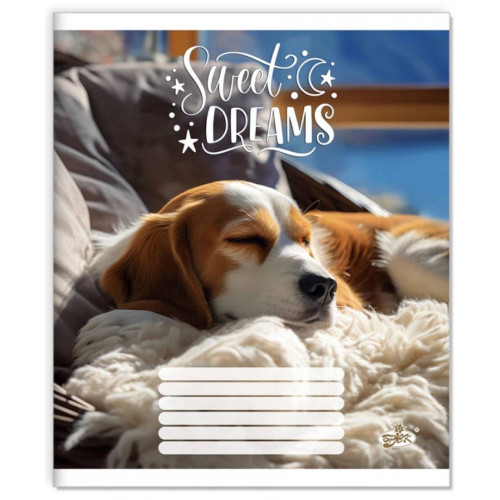 Зошит 24арк. клітинка Бриск ТВ-109 №2664 Лапи в тишi