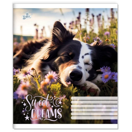 Зошит 24арк. клітинка Бриск ТВ-109 №2664 Лапи в тишi