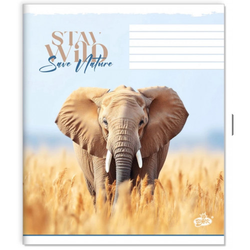 Зошит 48арк. клітинка Бриск ТВ-14 №2686 Голоси дикої землi