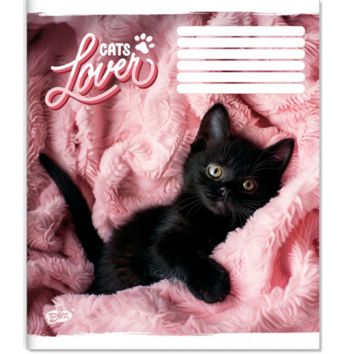 Зошит 36арк. клітинка Бриск ТВ-7 №2679 Кошеня