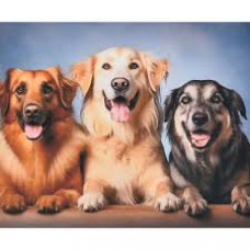 Набір для творчості алмазна картина Три вірних друга Strateg розміром 40х50 см (SK88269)