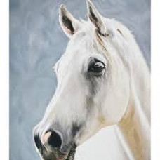 Набір для творчості алмазна картина Сила природи Strateg розміром 40х50 см (SK88246)