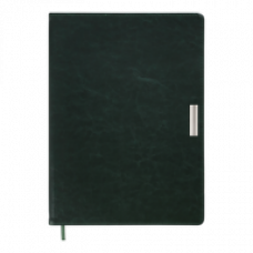 Щоденник недатований SALERNO А4, 288 стор., зелений