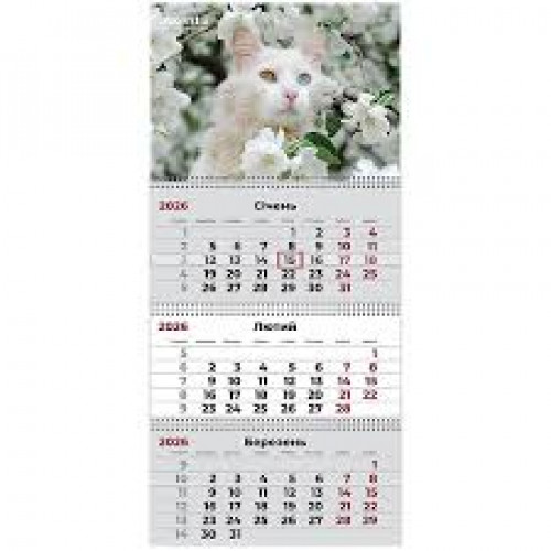 Календар настінний квартальний 2026 р.,3 пр. Cats 3