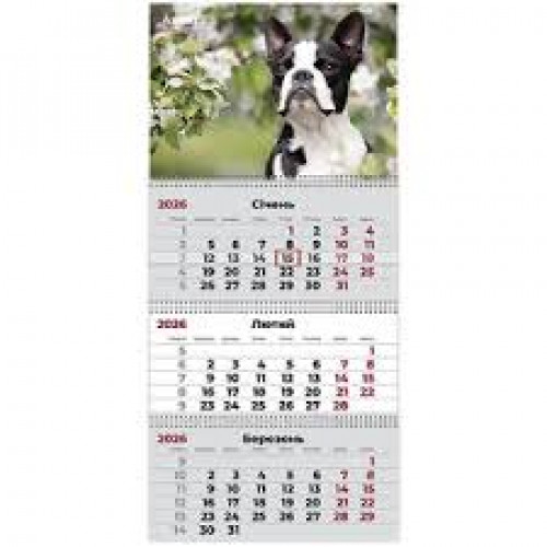 Календар настінний квартальний 2026 р.,3 пр. Dogs 2