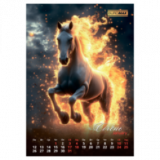 Календар настінний 2026 р., А3, 1 пружина, Symbol of the year