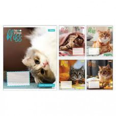 Зошит 18арк. клітинка 1В Bliss