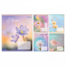 Зошит 48арк. клітинка 1В Tender Flowers