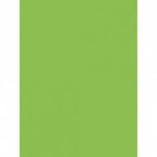 Mondi color папір офіс  A4 80г/м 100арк зелений Lime Green