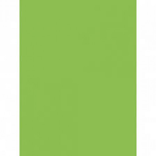 Mondi color папір офіс  A4 80г/м 100арк зелений Lime Green