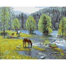 Картина для малювання за номерами 40*50 см. в картон. короб. пенз. фарби. арт. VR25275, VGR