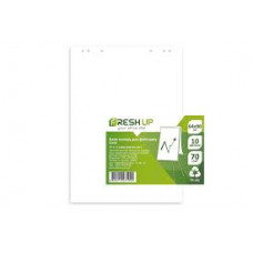 Блок фліпчарт клітинка 10арк 64*90см проклеєний в пакеті Fresh up