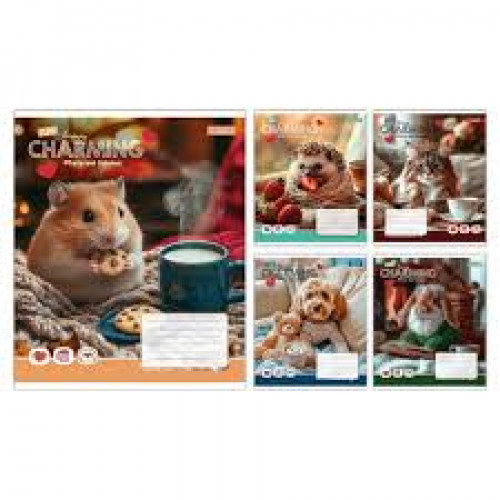 Зошит 24арк. лінія 1В Charming