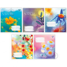 Зошит 36арк. клітинка Yes Nature colorful