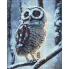 Набір з алмазною мозаїкою "Диво-cова" 40х50см