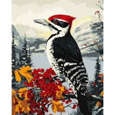 Набір для розпису по номерах "Дятел на гілці" 40х50см