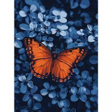 Набір для розпису по номерах "Світло серед темряви" 30х40см