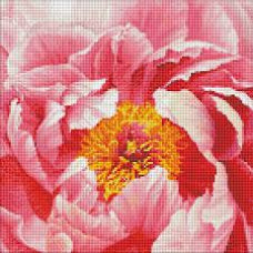 Набір з алмазною мозаїкою "Барвиста півонія" 40х40см