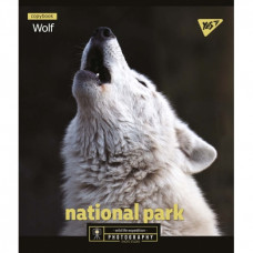 Зошит 48арк. лінія YES з ефектами "Wild portrait"