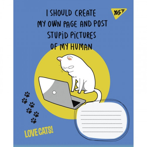 Зошит 12арк. лінія 1В Love cats
