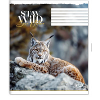 Зошит 48арк. клітинка Бриск ТВ-14 №2686 Голоси дикої землi