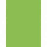 Mondi color папір офіс  A4 80г/м 100арк зелений Lime Green